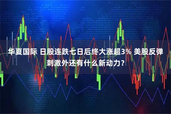 华夏国际 日股连跌七日后终大涨超3% 美股反弹刺激外还有什么新动力？