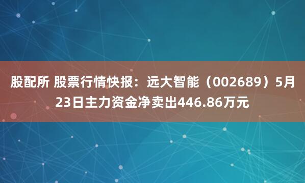 股配所 股票行情快报：远大智能（002689）5月23日主力资金净卖出446.86万元