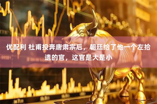 优配利 杜甫投奔唐肃宗后，朝廷给了他一个左拾遗的官，这官是大是小